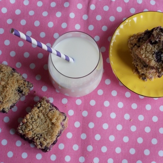 Blueberry and Custard Crumble Bars